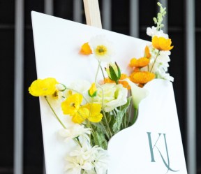 Nessuna immagine impostata 